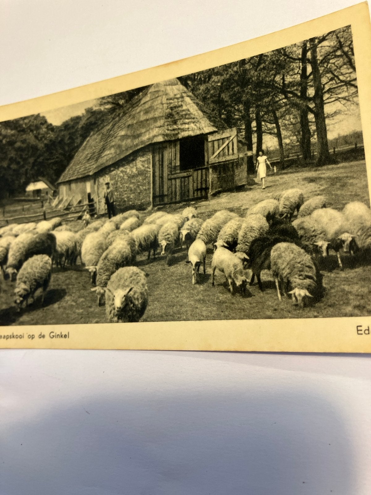 Oude Ansichtkaart Schaapskooi op de Ginkel Ede Gelderland, Ophalen of Verzenden, Voor 1920, Gelopen, Gelderland