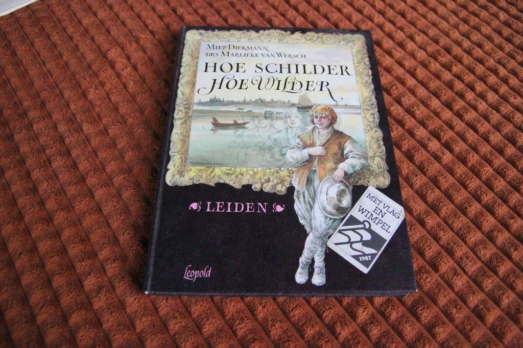 Hoe schilder hoe wilder Miep Diekmann, Boeken, Kunst en Cultuur | Beeldend, Gelezen, Ophalen of Verzenden