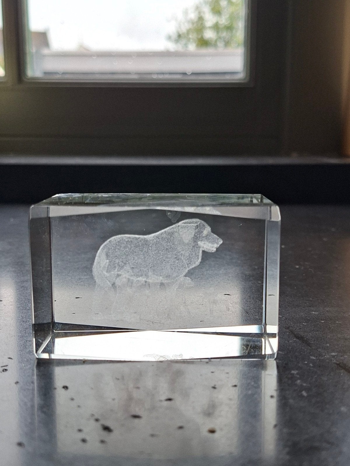 Glazen beeldje met 3D lasergegraveerde honden, Ophalen of Verzenden
