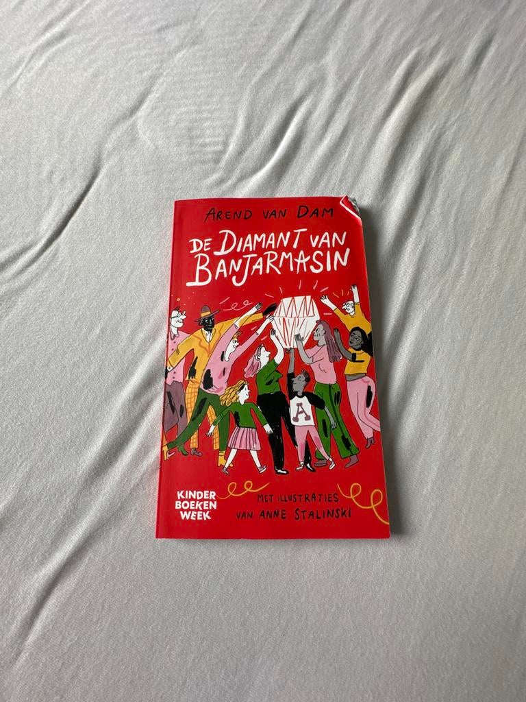 De diamant van Banjarmasin, Boeken, Ophalen of Verzenden, Zo goed als nieuw, Non-fictie