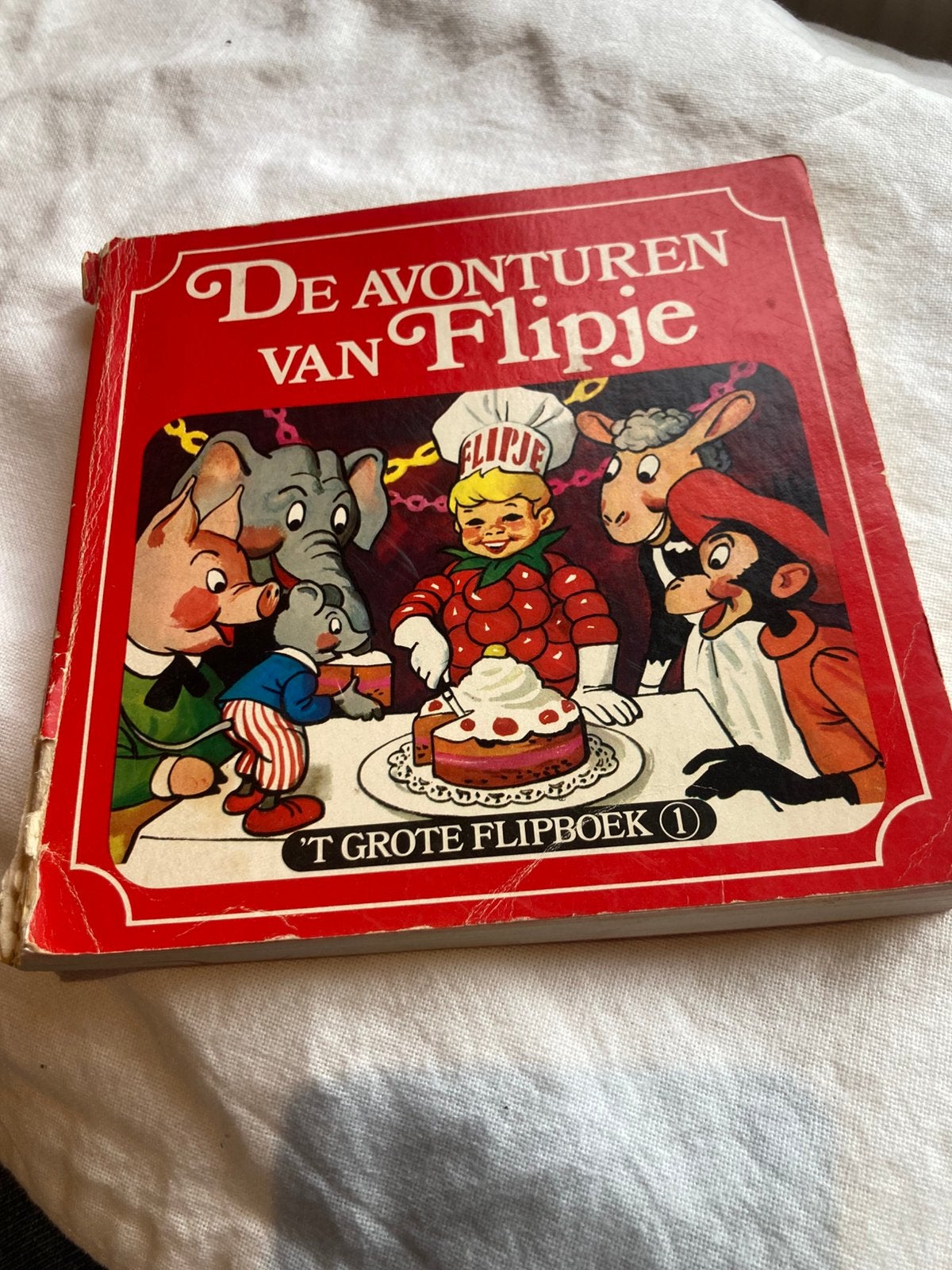 De avonturen van Flipje, Ophalen of Verzenden, Gelezen, Fictie algemeen