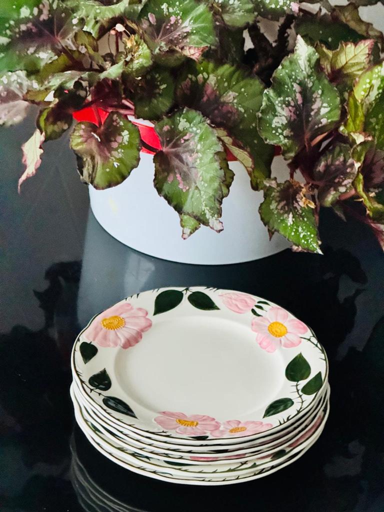 Villeroy & Boch Wild Rose borden - 6 stuks, 21 cm, Ophalen of Verzenden, Zo goed als nieuw, Bord(en), Overige stijlen
