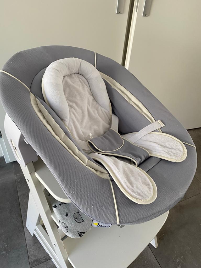 Hauck Alpha Bouncer 2-in-1 Wipstoel/Babystoel, Ophalen, Gebruikt, Overige typen, Gordel(s)