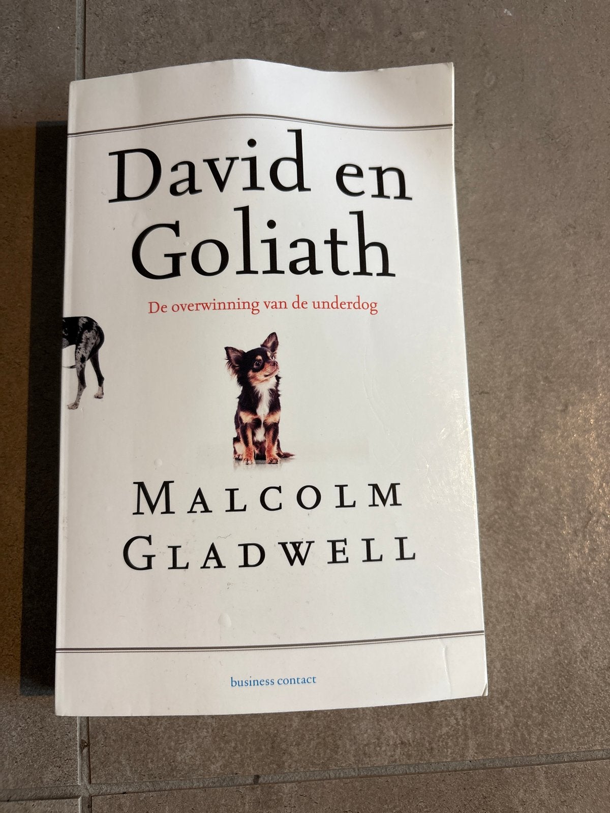 David en Goliath: De overwinning van de underdog, Ophalen of Verzenden, Zo goed als nieuw, Overige