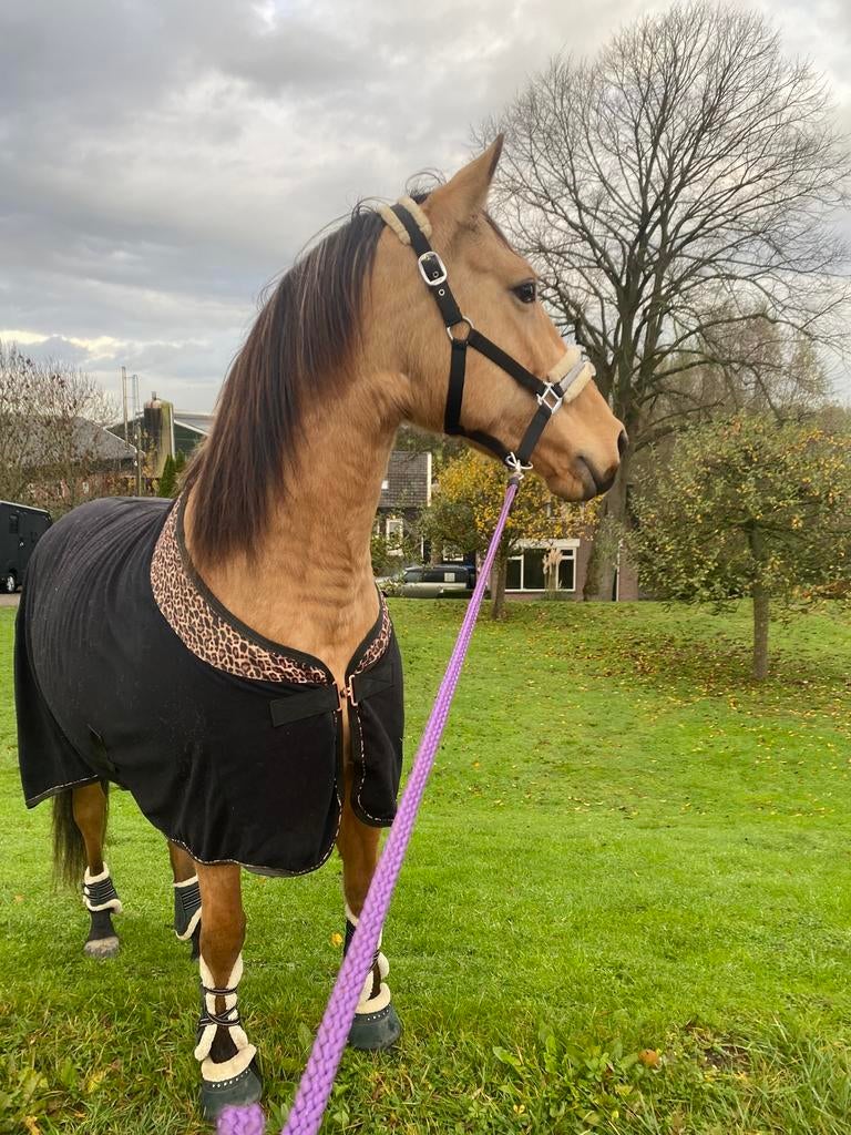 Zweetdeken/ uitrijdeken, Dieren en Toebehoren, Paarden en Pony's | Dekens en Dekjes, Ophalen, Zo goed als nieuw