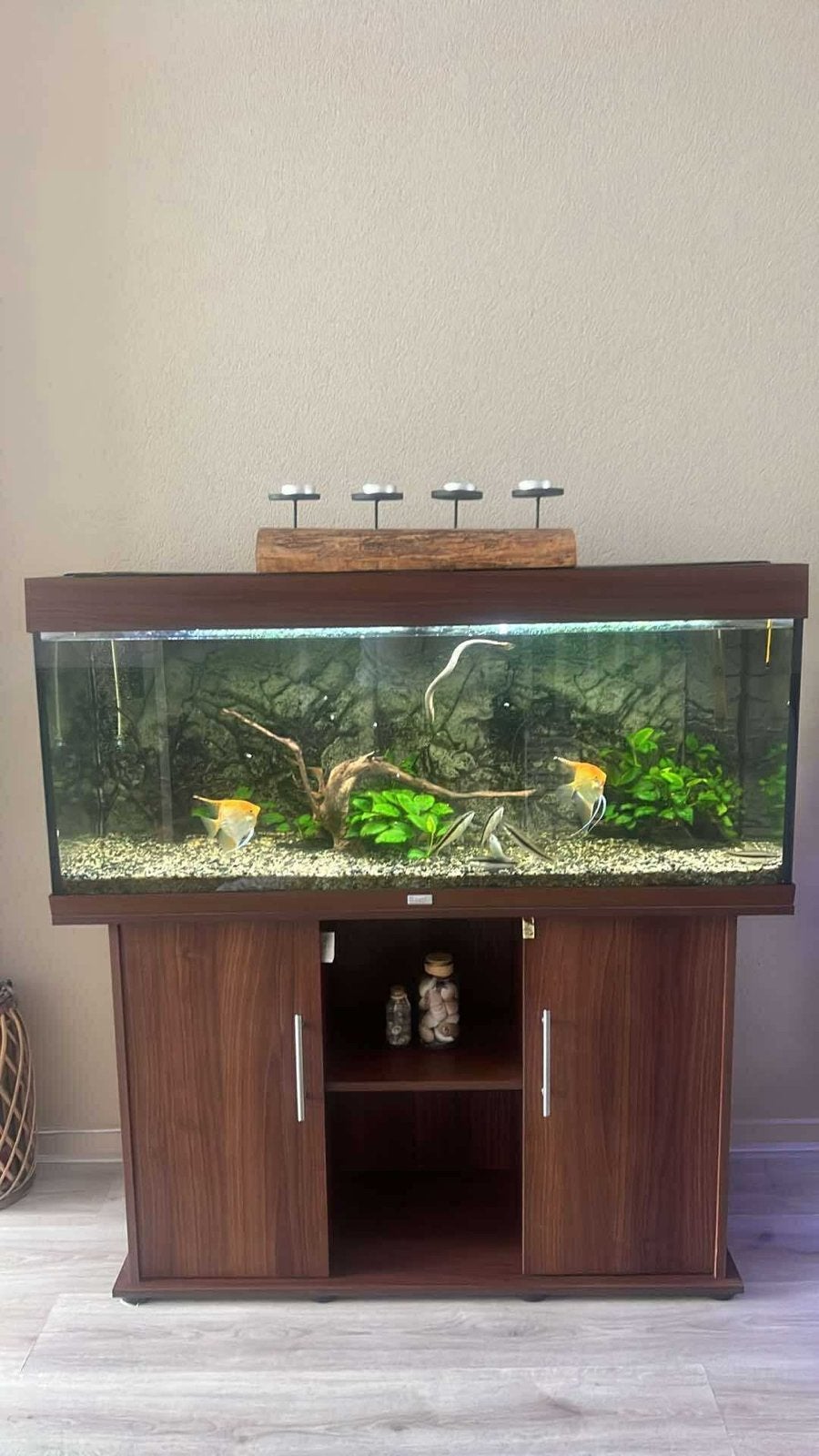 aquarium van het merk JUWEL – 120 cm breed, Ophalen, Zo goed als nieuw, Leeg aquarium
