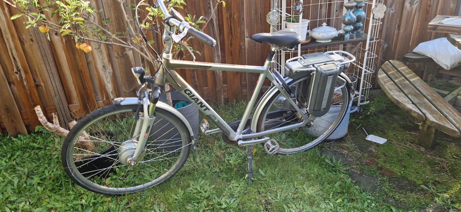elektrische heren fiets giant ebike, Ophalen, Gebruikt