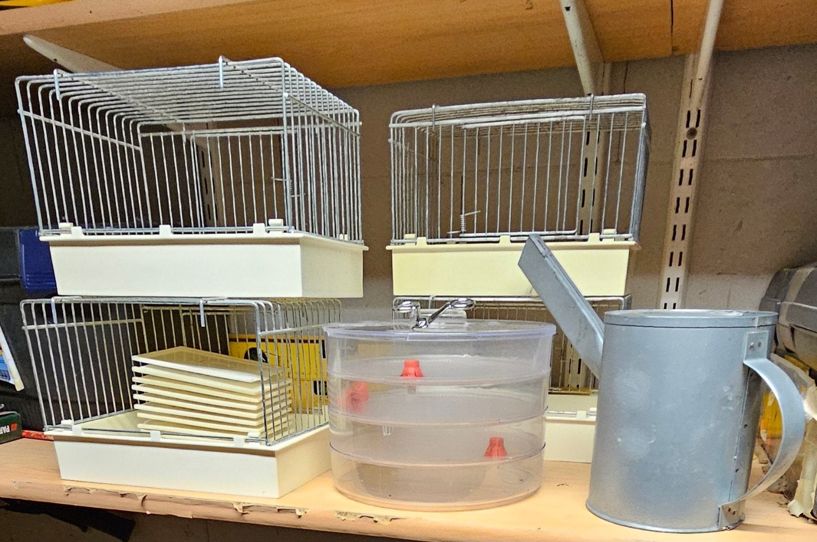 Div vogel benodigd heden, Dieren en Toebehoren, Meerdere dieren