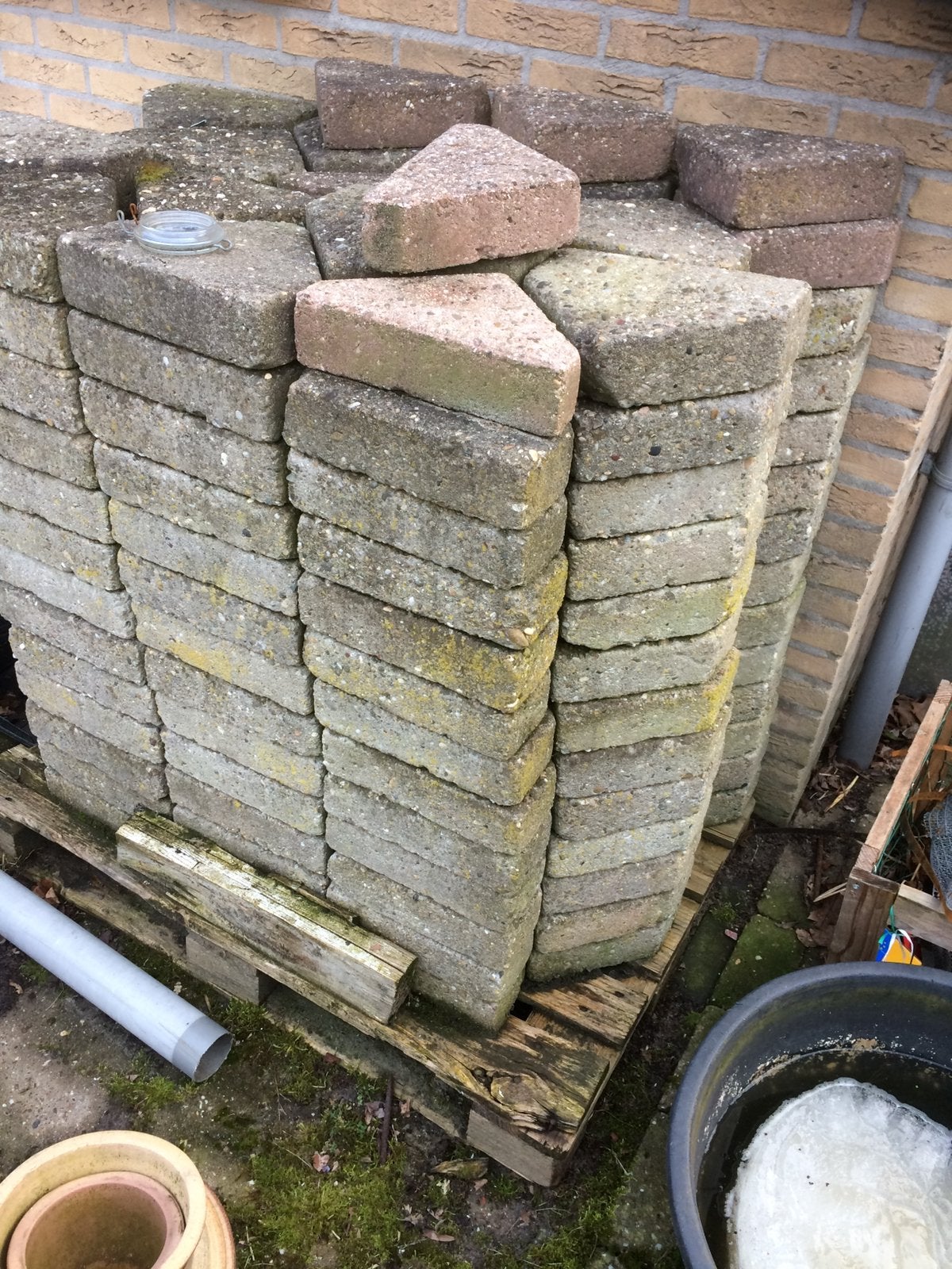 bischopsmutsen  gratis  ophalen, Tuin en Terras, Tegels en Klinkers, Ophalen, Gebruikt, Beton, Klinkers