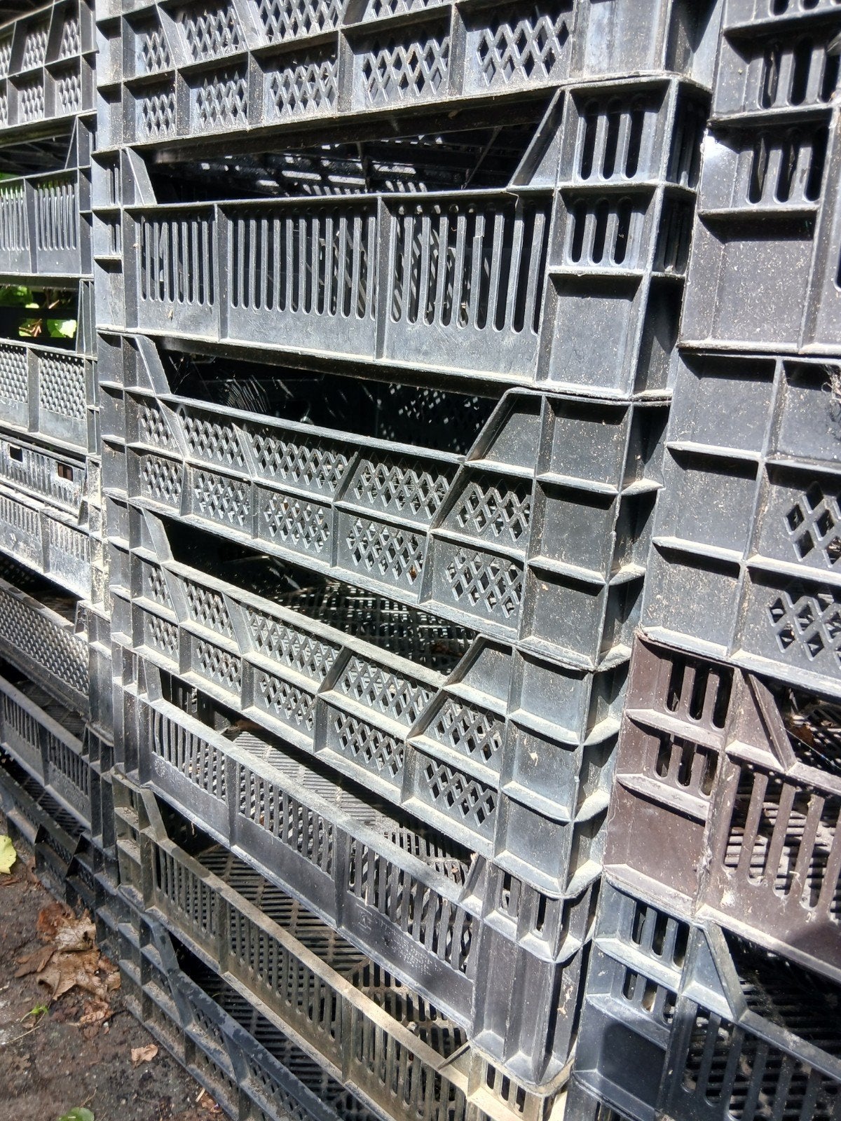 Lage veenmanskisten planten kratten, Doe-het-zelf en Verbouw, Kratten en Dozen, Ophalen, Gebruikt, 40 tot 60 cm, 50 tot 75 cm