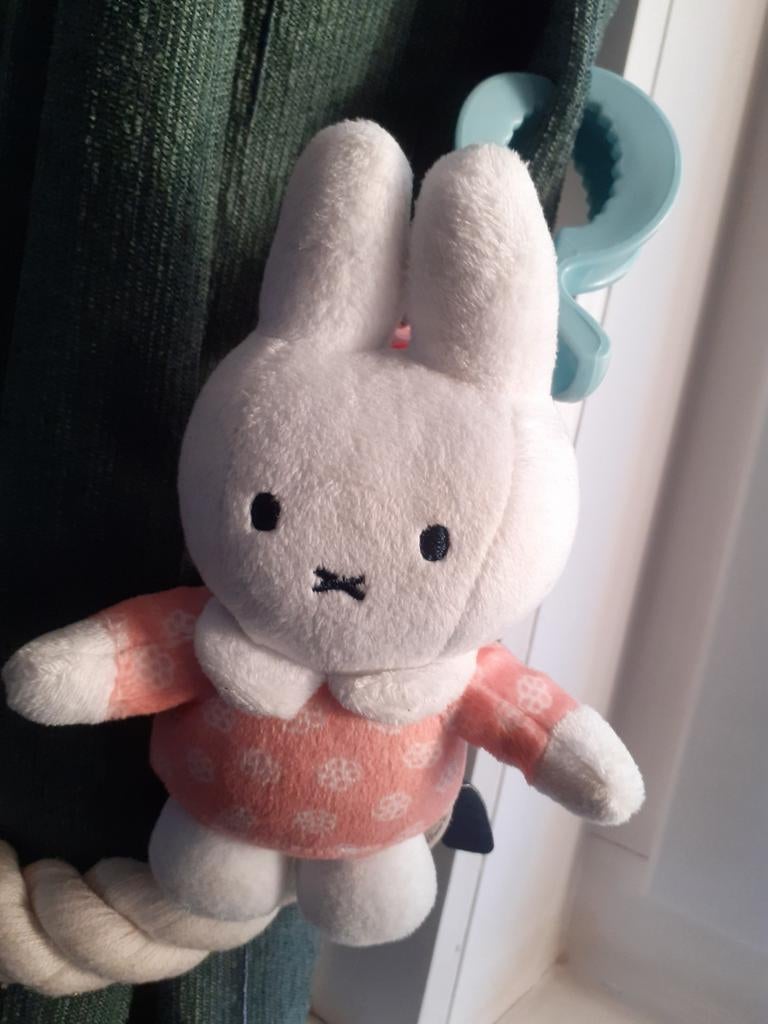 Nijntje van Dick Bruna, Ophalen of Verzenden, Zo goed als nieuw, Konijn