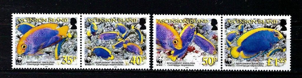 WWF Ascension Mi. 989/992 Postfris (vissen), Ophalen of Verzenden, Postfris, Dier of Natuur
