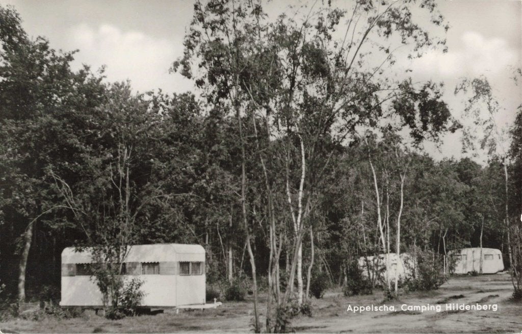 Appelscha Camping Hildenberg L3057, Ophalen, 1960 tot 1980, Ongelopen, Friesland