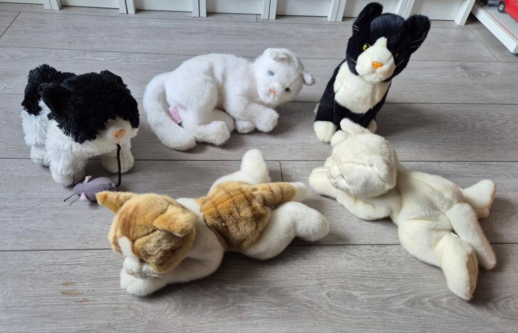 Poezen knuffels, Kinderen en Baby's, Speelgoed | Knuffels en Pluche, Ophalen of Verzenden