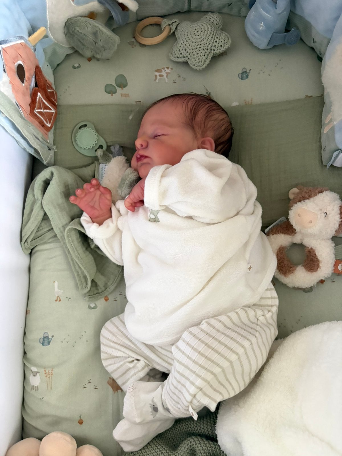Reborn baby Otto van Joanna Kazmierczak met certificaten, Verzamelen, Ophalen, Nieuw, Babypop, Levensecht of Reborn