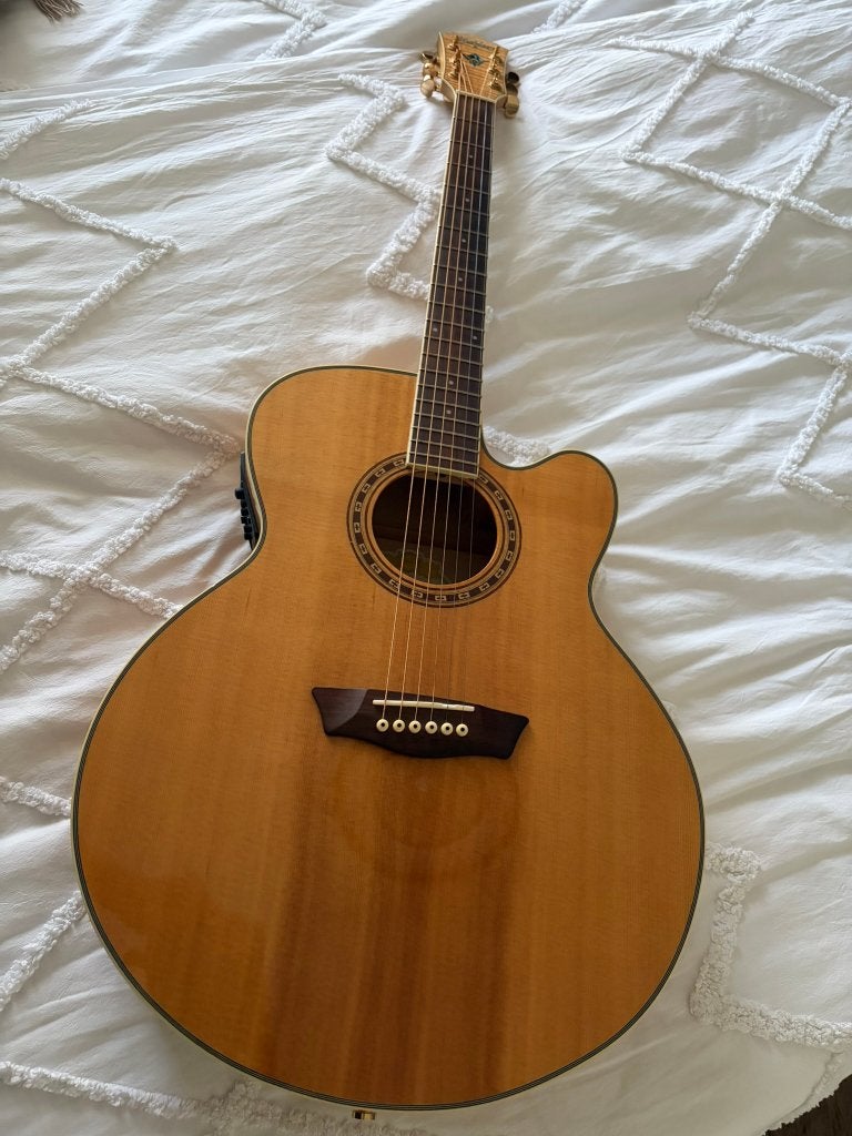 Washburn J40SCE Semi-Akoestische Westerngitaar, Ophalen, Gebruikt, Western- of Steelstringgitaar
