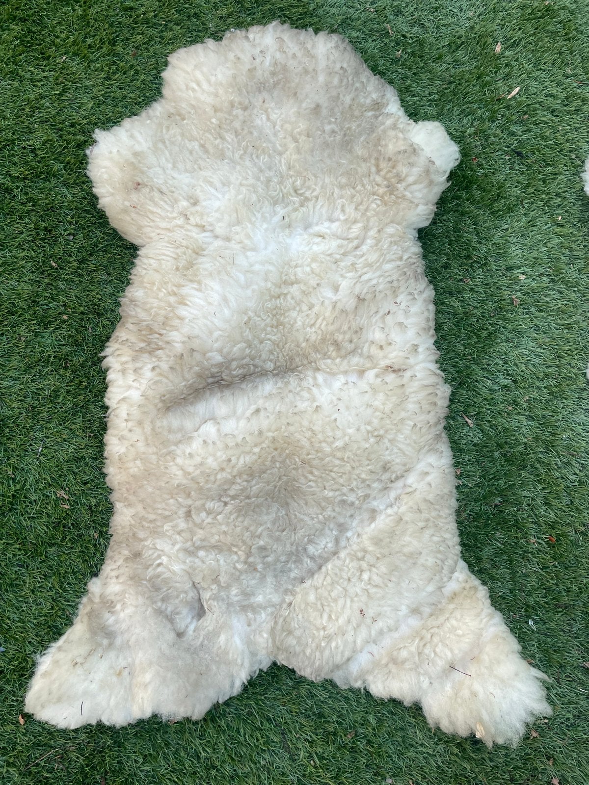 Echte schapenvacht creme taupe, Gebruikt, Wit, 200 cm of meer, Overige vormen