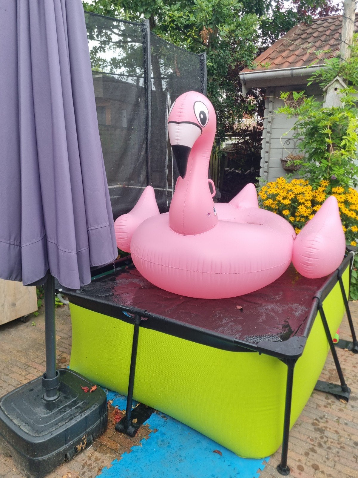 super grote opblaas flamingo, Ophalen
