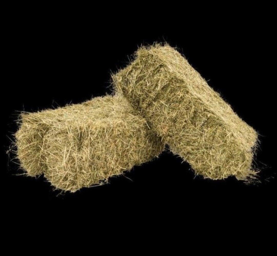 Kleine baaltjes hooi te koop, Dieren en Toebehoren, Dierenvoeding, Ophalen of Verzenden