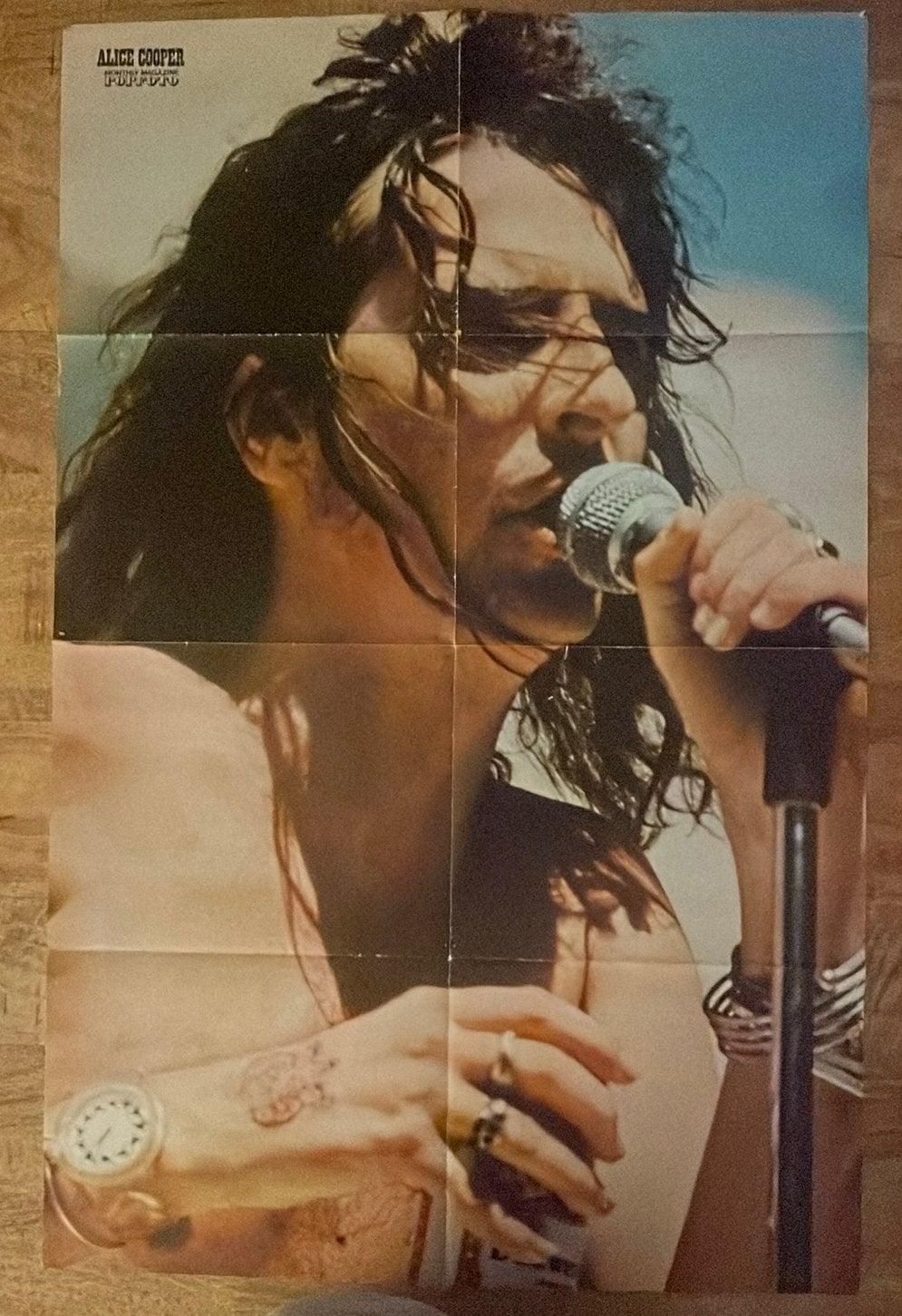Poster Alice Cooper 1973 - Popfoto (dutch music magazine), Ophalen of Verzenden, Zo goed als nieuw, A1 t/m A3