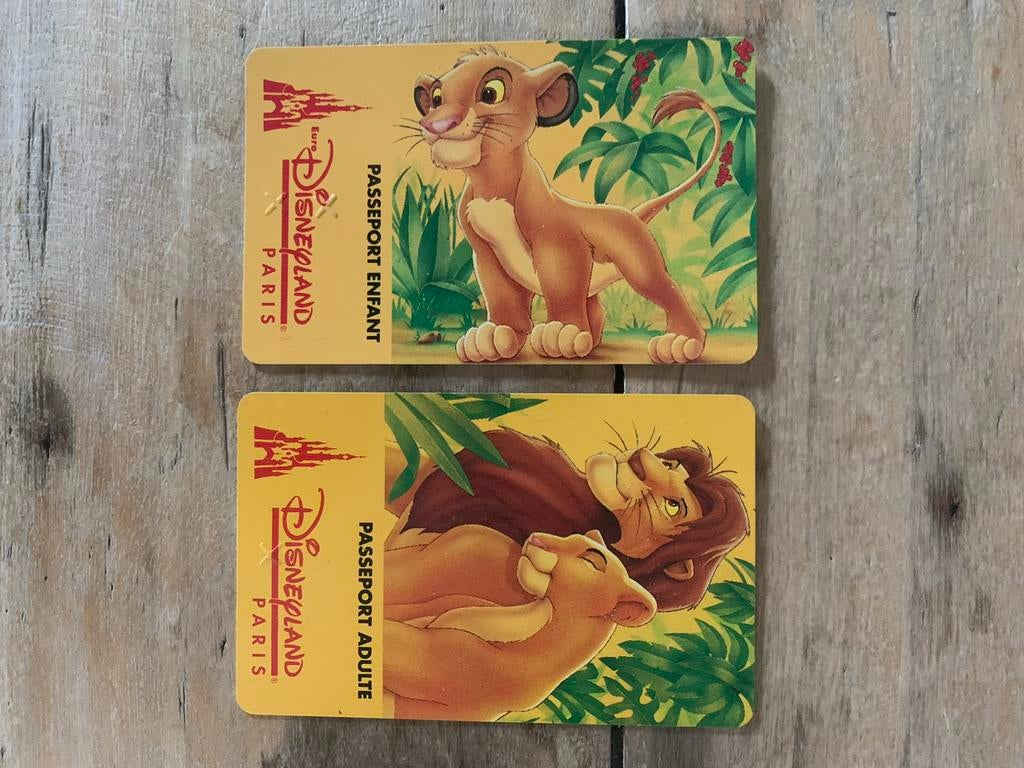Passeport Disneyland Parijs, jaren ‘90, Tickets en Kaartjes, Eén persoon, Ticket of Toegangskaart