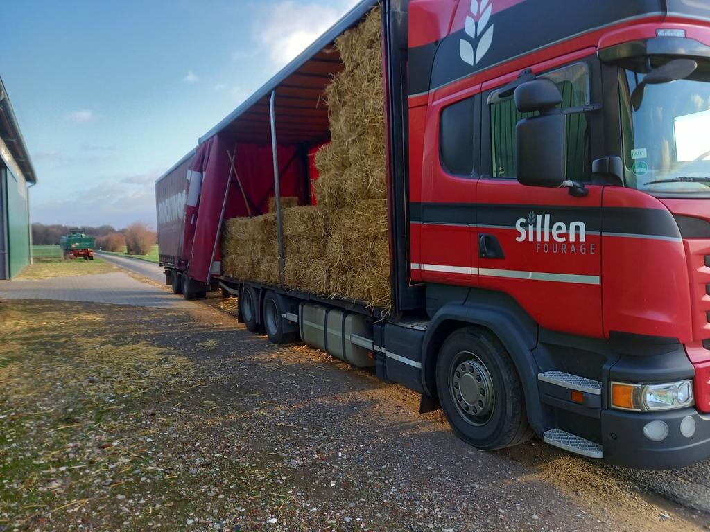 Te koop kleine balen stro, Dieren en Toebehoren, Dierenvoeding, Ophalen of Verzenden, Vee