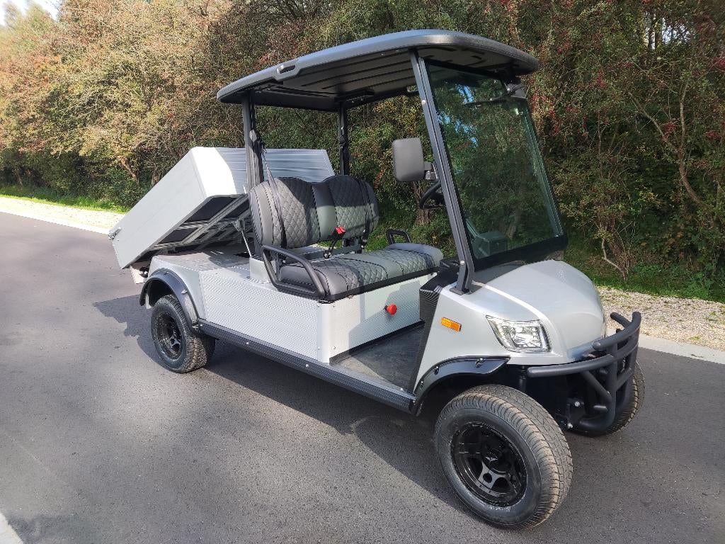 ICOCAR golfcar (type Carrier 3.0, Lithium accu, 500 kg.), Overige merken, ICOCAR, Nieuw, Ophalen of Verzenden