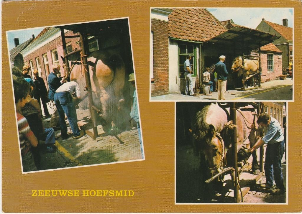 BIGGEKERKE Hoefsmid, Verzamelen, Verzenden, 1980 tot heden, Gelopen, Zeeland