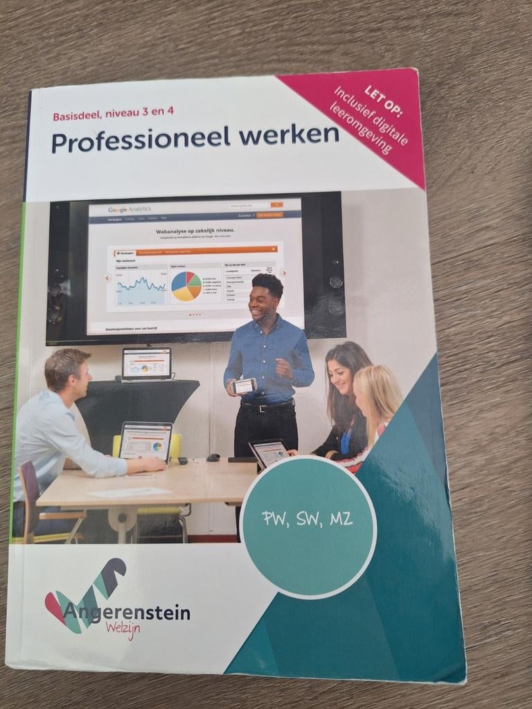 Professioneel werken studieboek, Angerenstein, Ophalen of Verzenden, Zo goed als nieuw