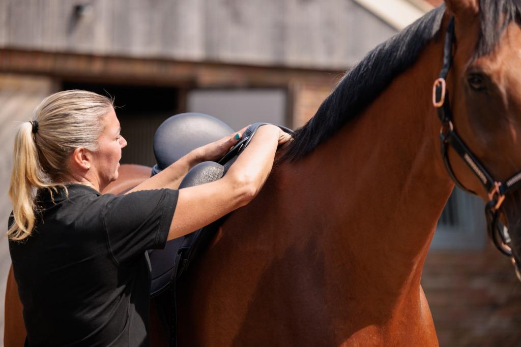 Equi-M Zadelpasser, Ophalen of Verzenden, Nieuw, Dressuur