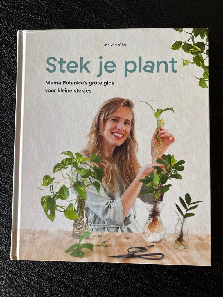Boek Stek Je Plant - Iris van Vliet, Ophalen of Verzenden, Gelezen, Kamerplanten