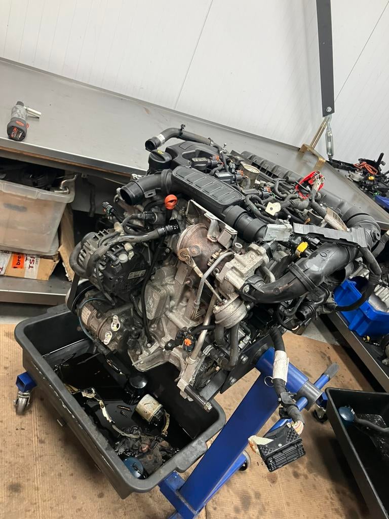 Olie verbruik Psa revisie/reparatie Puretech, Auto-onderdelen, Ophalen of Verzenden, Gereviseerd, Citroën