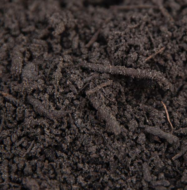 Compost– €40 per kuub – Regio Nijmegen, Verzenden, Compost