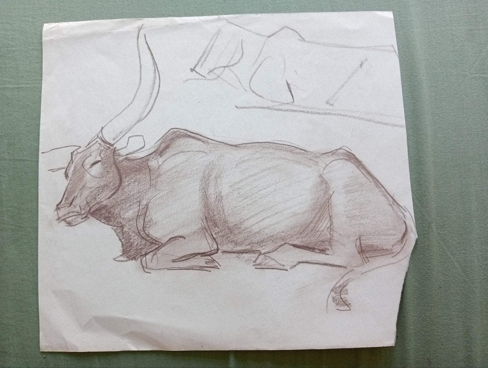 Jan Visser tekening Buffel jaren 40-50 Blijdorp Rotterdam, Antiek en Kunst, Kunst | Tekeningen en Foto's, Ophalen of Verzenden