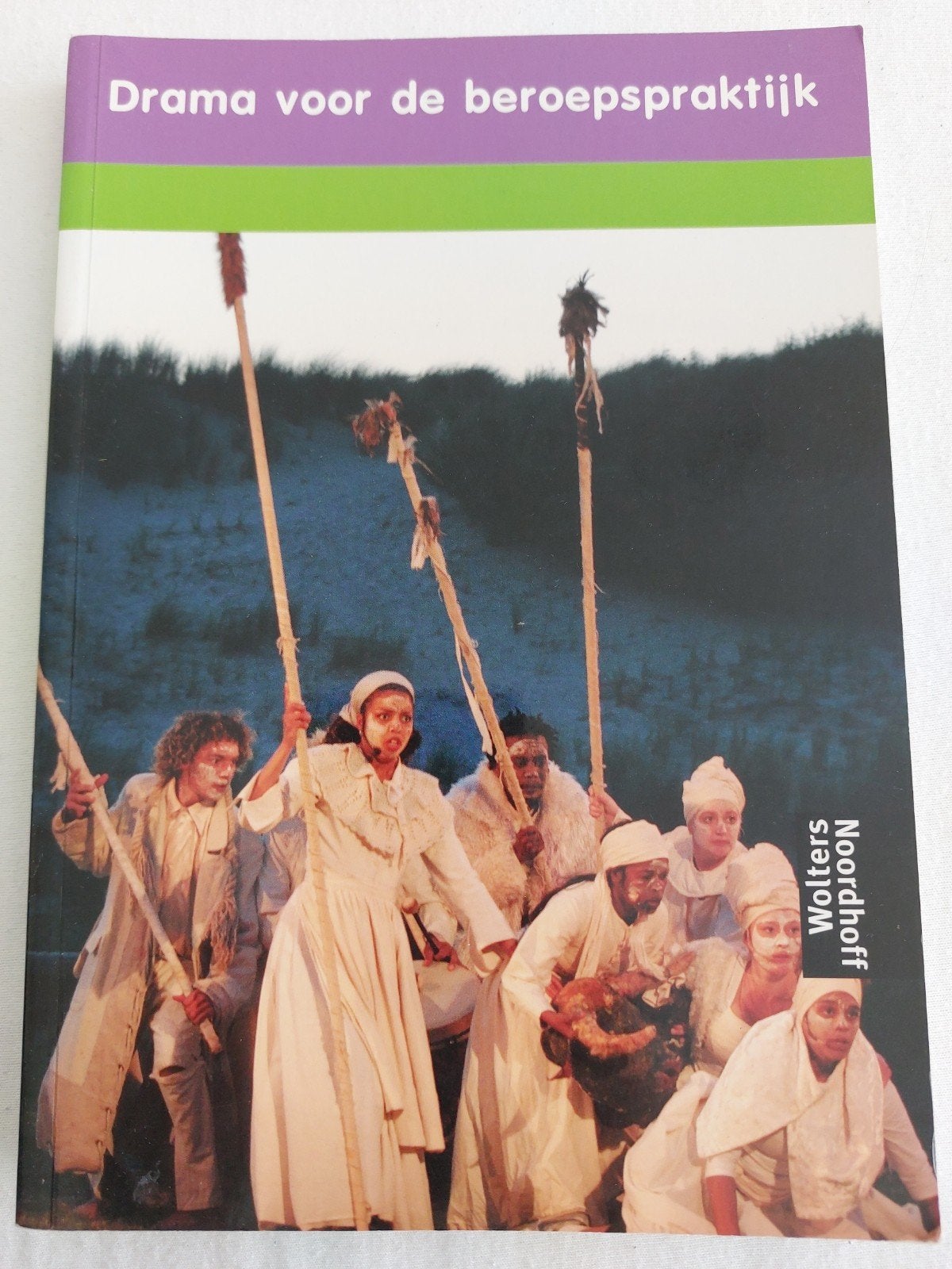 Drama voor de beroepspraktijk - Gerdje Pijper, Boeken, Ophalen of Verzenden, Zo goed als nieuw, HBO, Gerdje Pijper