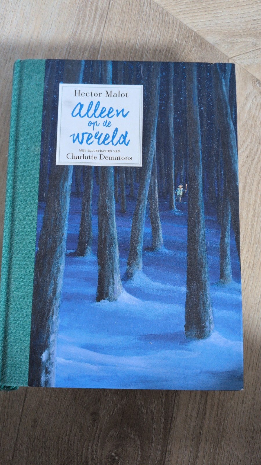 Alleen op de wereld - Hector Malot (geïllustreerd), Ophalen of Verzenden, Zo goed als nieuw, Hector Malot, Nederland