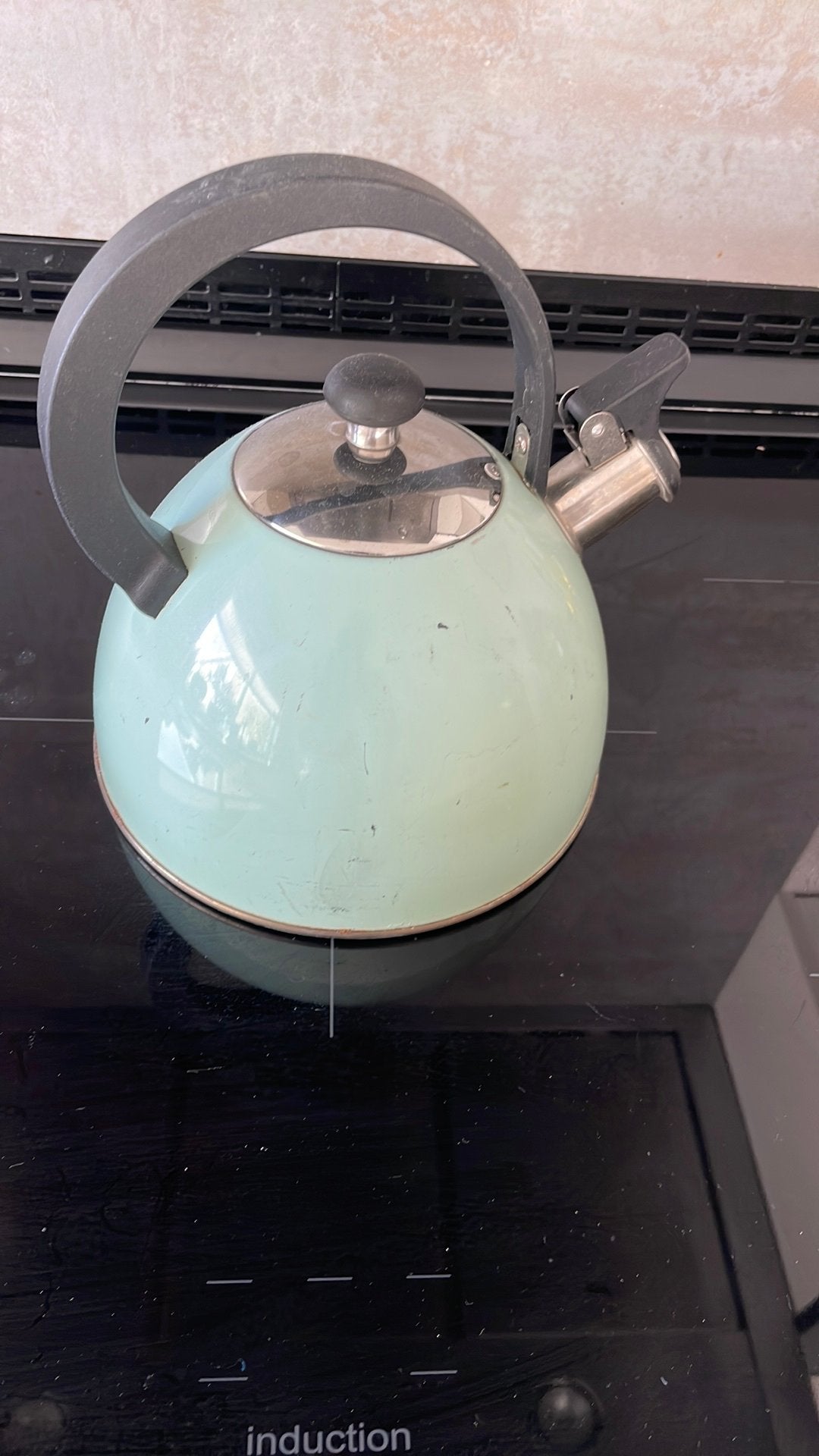 Florina fluitketel lichtgroen, Ophalen of Verzenden, Gebruikt