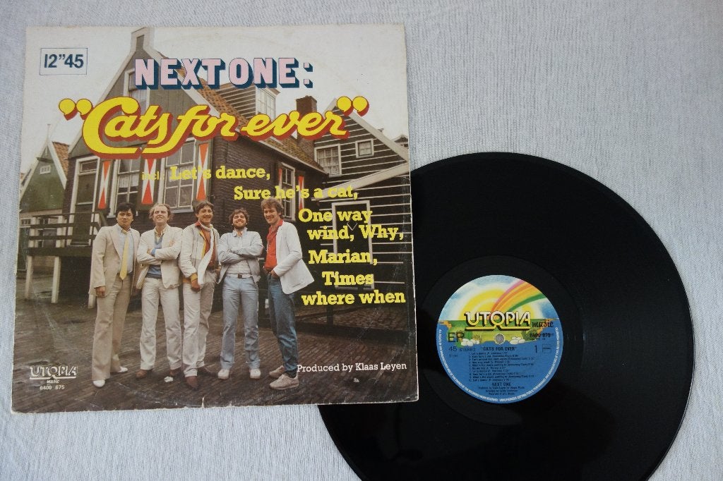 Next One 12” 45 toeren single, Ophalen of Verzenden, LP