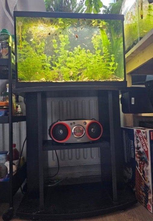 Mooi aquarium inclusief lamp en meubel, Ophalen, Inclusief deksel, Gebruikt, Leeg aquarium