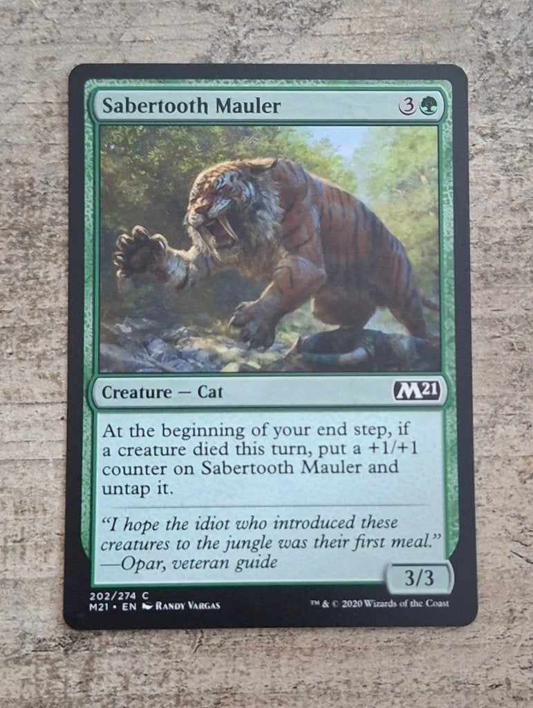 Sabertooth Mauler - Magic the Gathering, Verzenden, Gebruikt, Losse kaart
