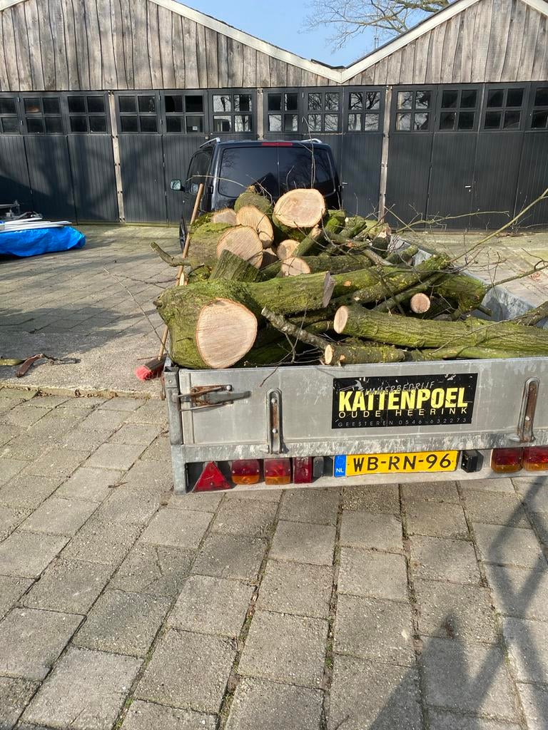 Vers gezaagd eiken brandhout te koop, Tuin en Terras, Haardhout, Minder dan 3 m³, Ophalen of Verzenden, Eikenhout, Stammen