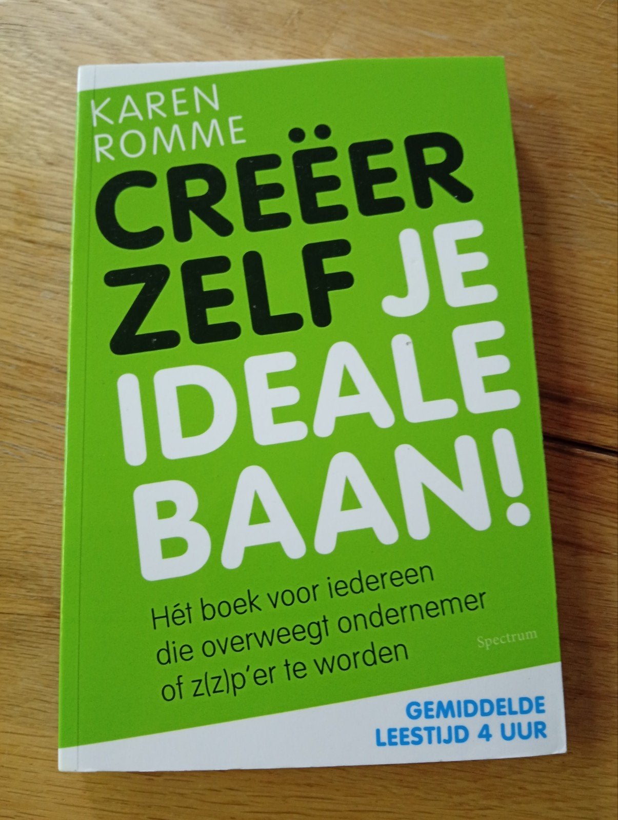 Creëer Zelf Je Ideale Baan! - Karen Romme, Ophalen of Verzenden, Zo goed als nieuw, Karen Romme