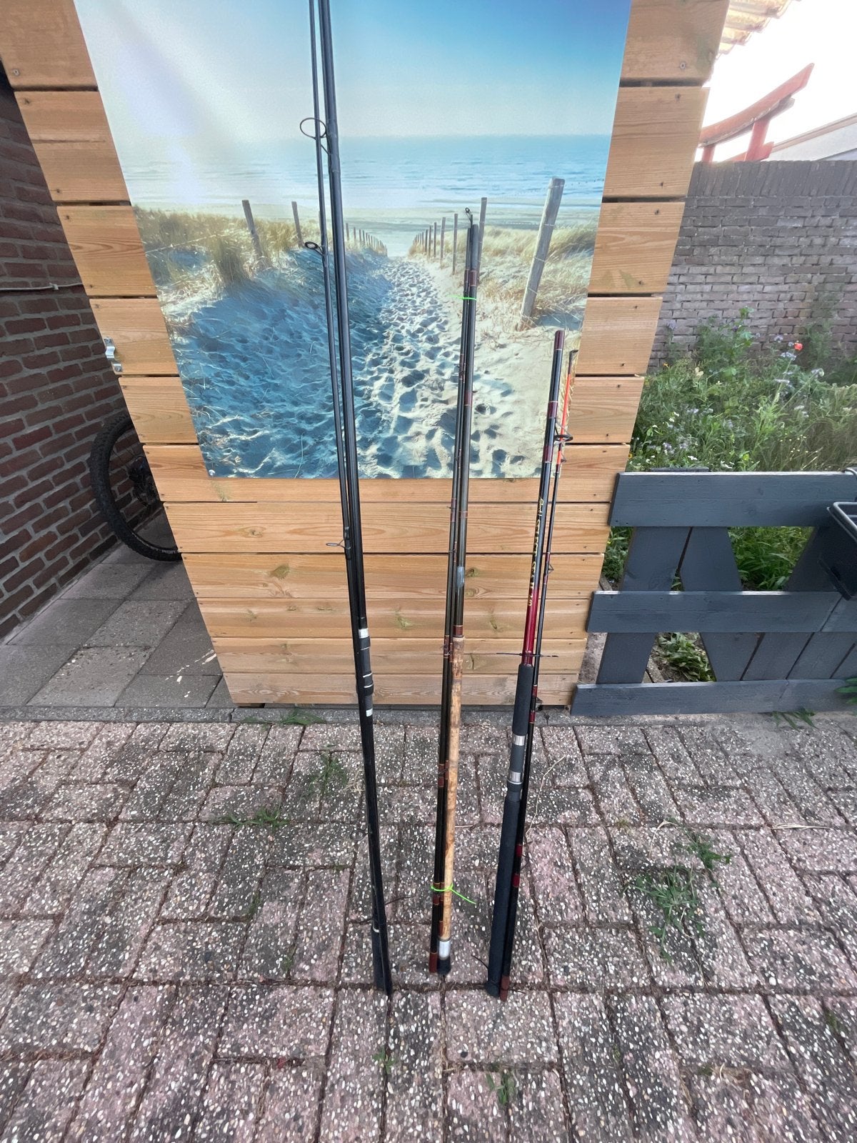 Set van 3 diverse vishengels: karper, zee en allround, Ophalen, Gebruikt, Werphengel