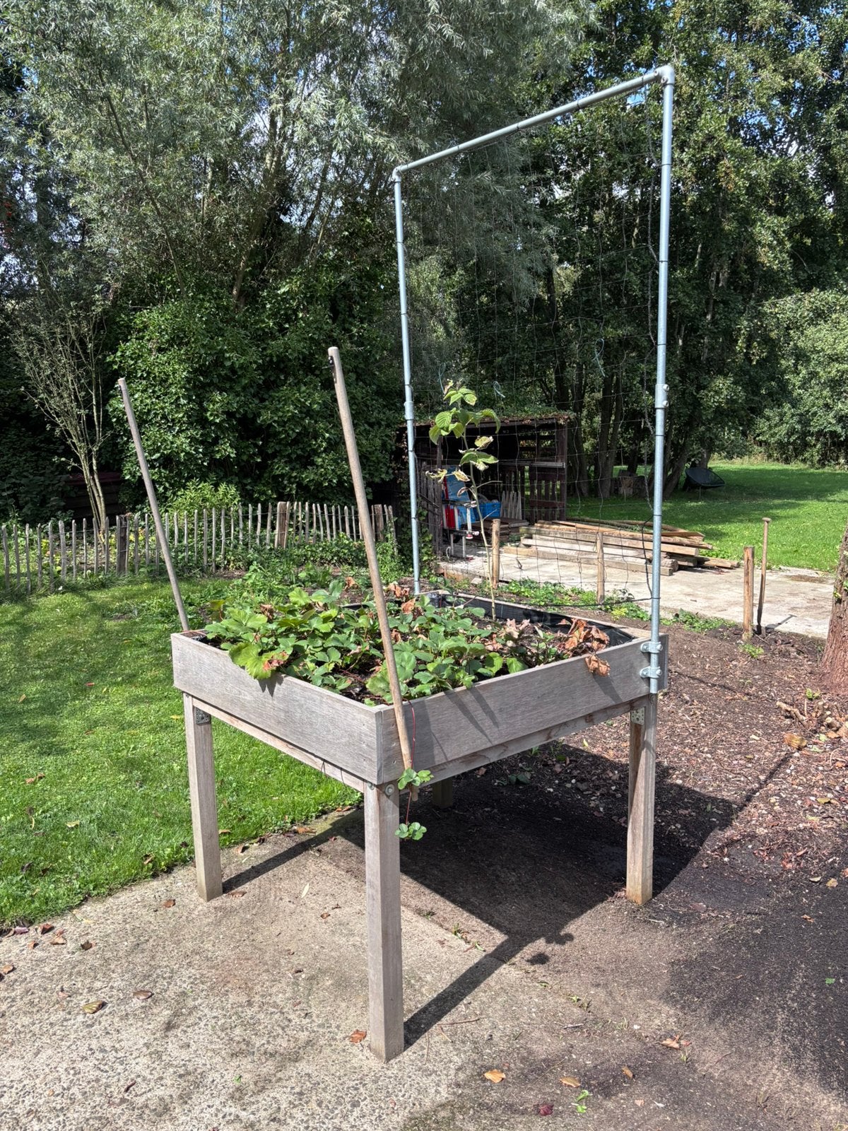 Hardhouten kweekbak/moestuinbak met klimrek, Tuin en Terras, Ophalen, 100 cm of meer, Zo goed als nieuw, 60 cm of meer