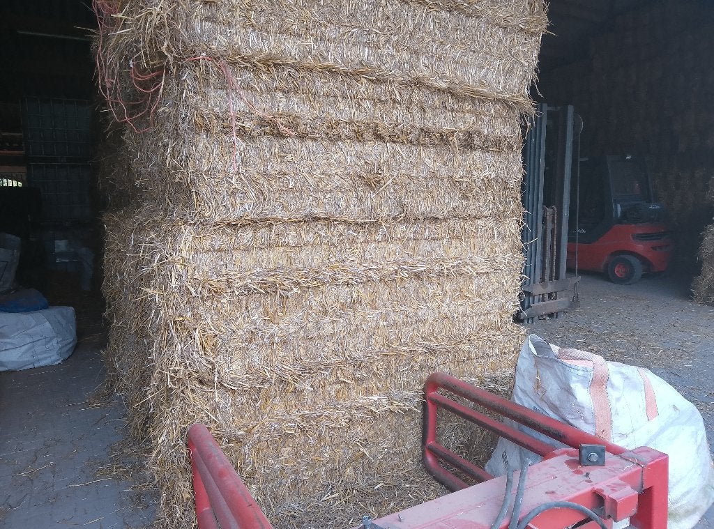 Grote balen tarwe stro, Ophalen, Vee