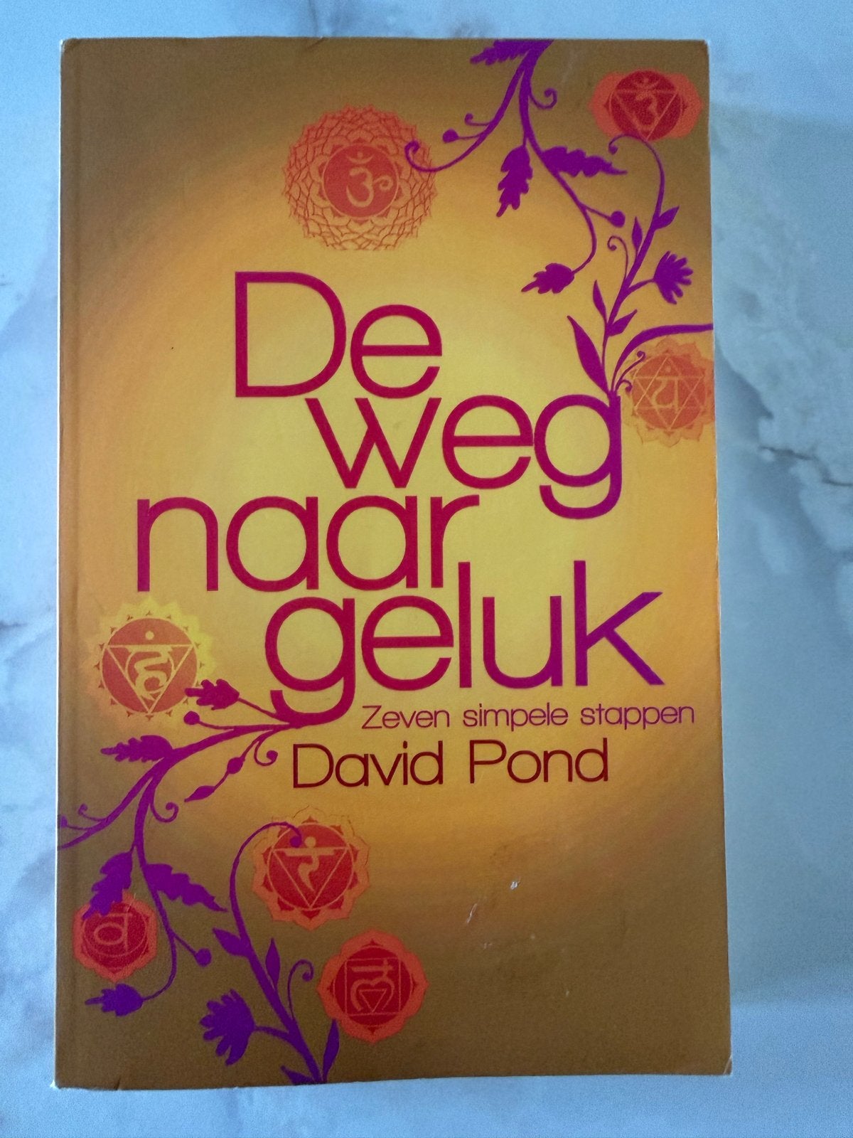 De weg naar geluk - David Pond (Zeven simpele stappen)