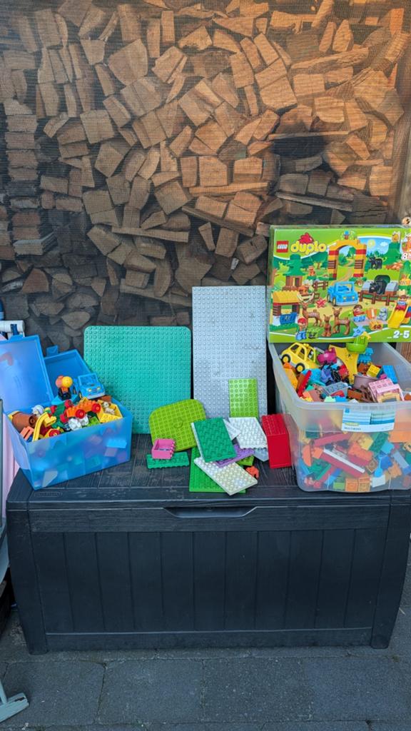 Grote Duplo collectie incl. limited editions (10584, 10840), Kinderen en Baby's, Speelgoed | Duplo en Lego, Gebruikt, Duplo, Complete set