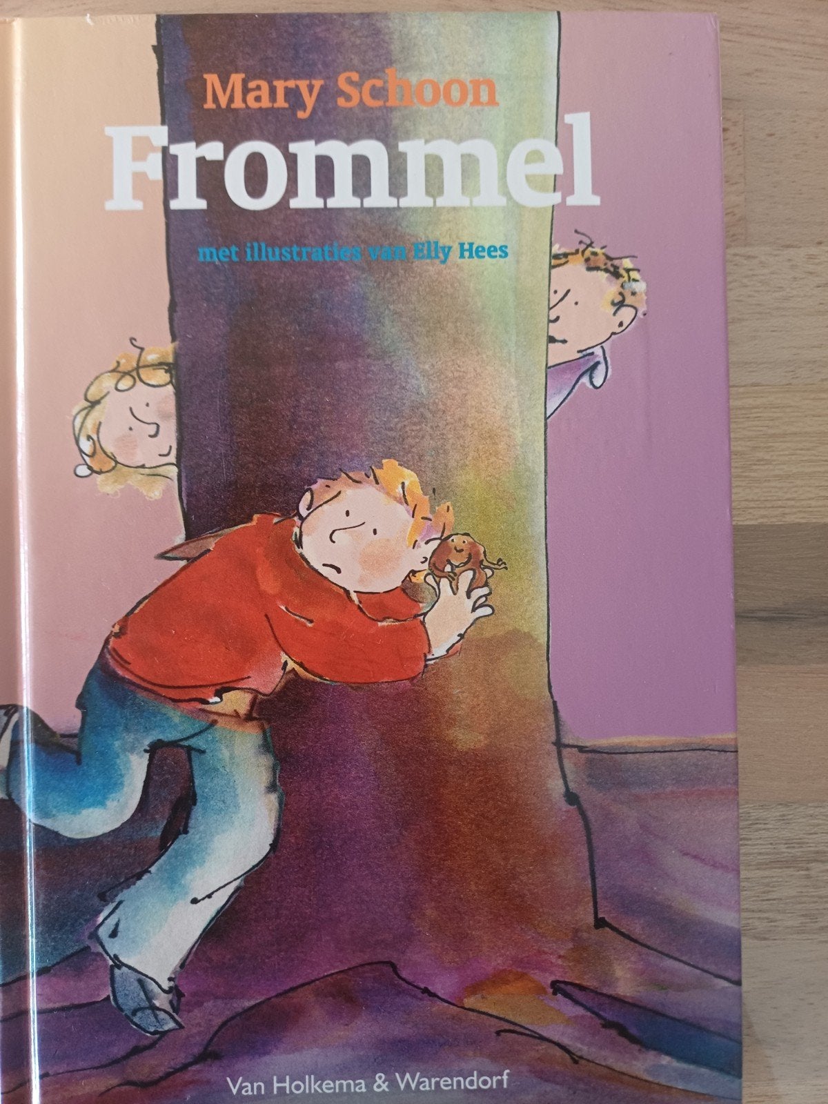 Mary Schoon - Frommel, Fictie algemeen, Ophalen of Verzenden, Zo goed als nieuw, Mary Schoon