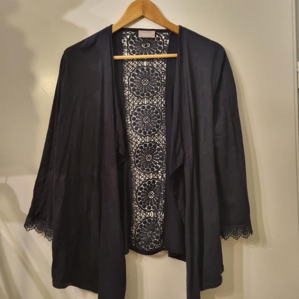 Dames vest maat M, Maat 38/40 (M), Blauw, Ophalen of Verzenden, Zo goed als nieuw