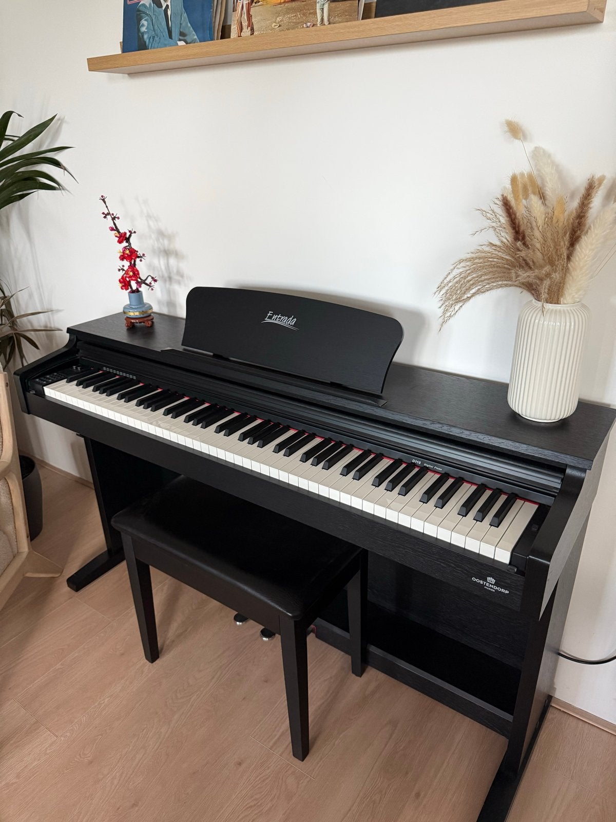Digitale piano Entrada D110 B van Oostendorp Muziek, Muziek en Instrumenten, Gebruikt, Zwart, Digitaal, Ophalen of Verzenden